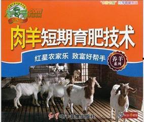 育肥羊爆料视频播放下载,育肥羊视频播放下载背后的惊人真相  第2张