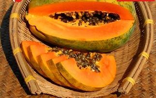 免费吃瓜入口直达 第2张 免费吃瓜入口直达 第2张